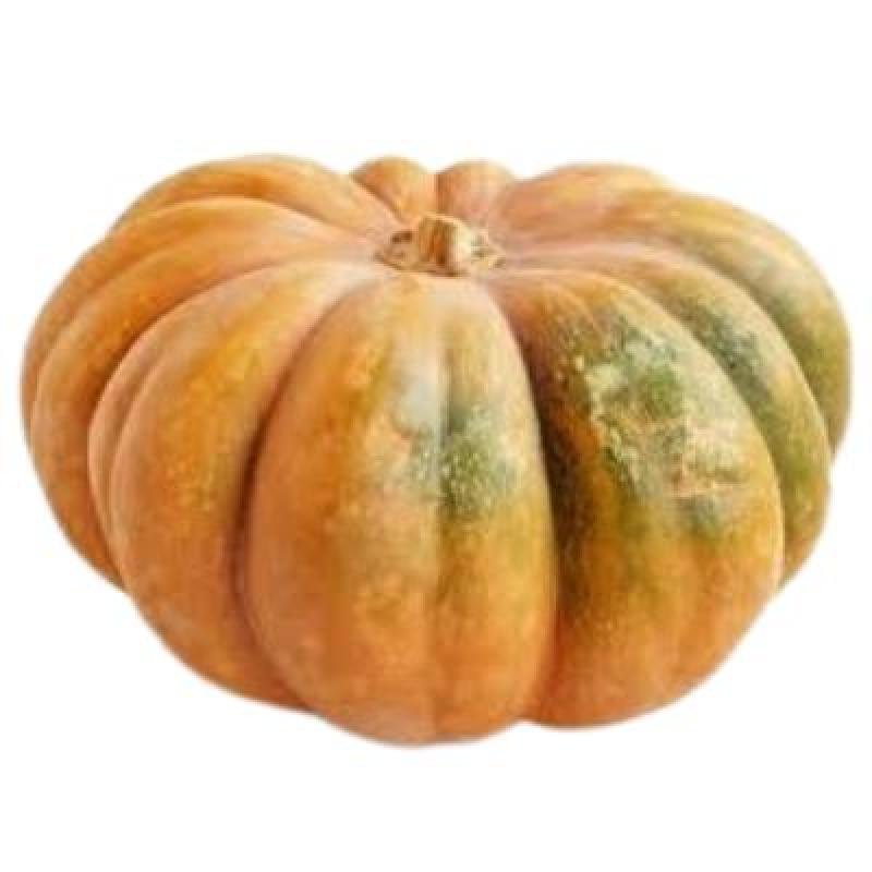 Pumkin (1 Units)Delivery up to 15km radius from our location to your destination.