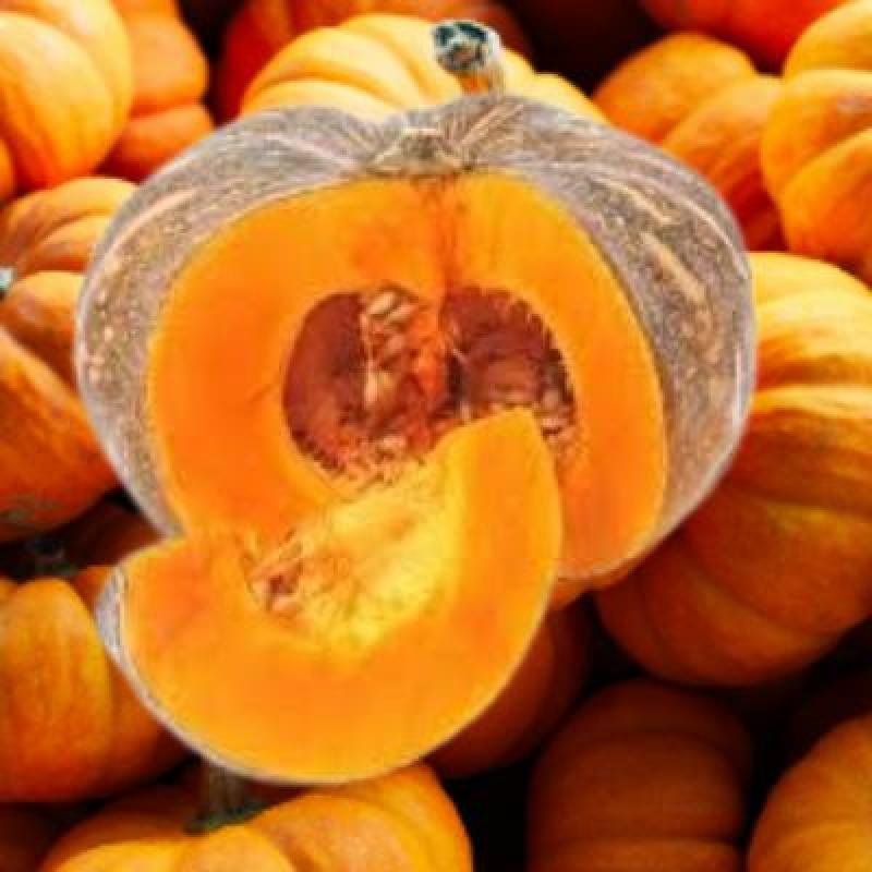 Pumkin (1 Units)Delivery up to 15km radius from our location to your destination.