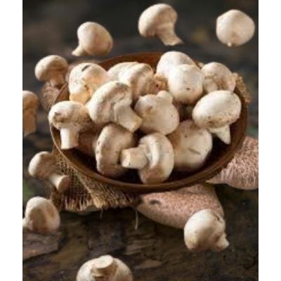 Button Mushroom (200 gm) Delivery up to 15km radius from our location to your destination.
