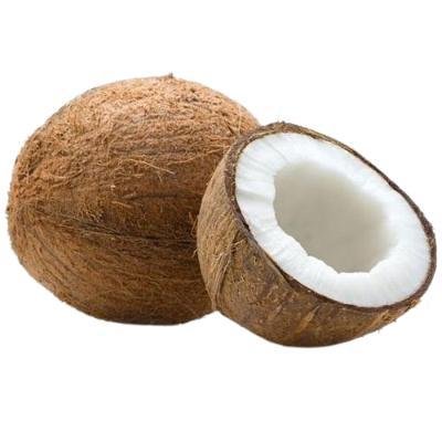 Brown Coconut Size:Small(Pack Of 1) Delivery up to 15km radius from our location to your destination.